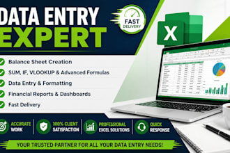 pdf convert to excel and data entry for you