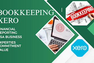 do xero bookkeeping and finacial reporting for USA businesses
