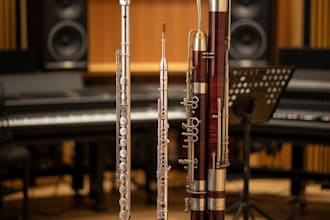 record studio quality flute, piccolo, bassoon, contrabassoon for your track