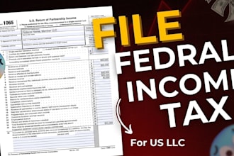 prepare and e file USA tax returns for llc corporate and personal