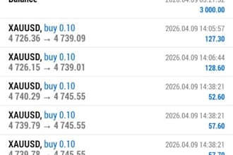 hand free forex trading bot, forex ea robot, trading robot, gold ea bot