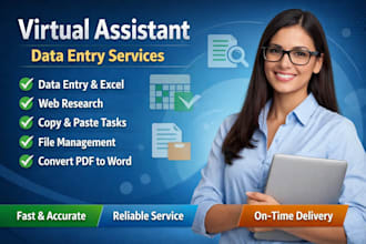 do data entry, copy paste, and excel tasks quickly and accurately