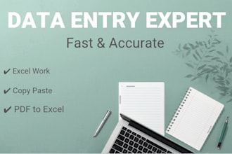 do data entry, typing and PDF to excel work