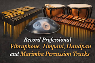 professionally play hammered dulcimer, udu drum, djembe, cajon and tambourine