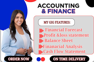 prepare audit ready financial statements and advanced analysis