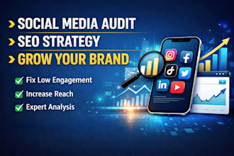 do a professional social media audit and seo strategy for growth