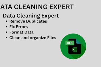 fix messy spreadsheets and organize them into usable format