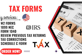 prepare irs form 1040x amended tax return with w2, 1099 and tax correction