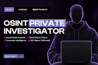 do a professional osint investigation