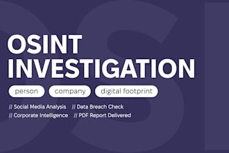 do a professional osint investigation