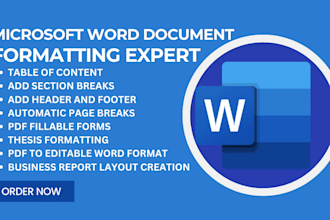 type edit design format convert style ms word microsoft word document formatting