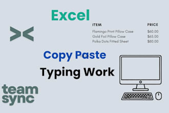 fast and accurate data entry, excel, web research