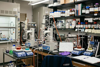 provide mentorship in chemistry research field