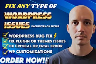 fix wordpress issues, fix wordpress errors, bugs, fix wordpress website