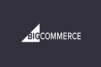 ecommerce store on bigcommerce, shift4shop, gumroad, or big cartel online store