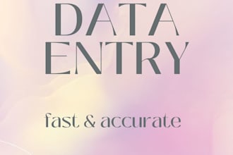 do data entry, typing work in excel and word