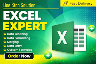 clean and format and merge and data entry