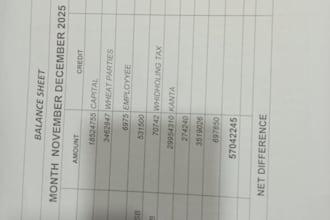 do professional book keeping in quick book and excel