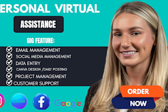 be your personal virtual assistance ,data entry and web research