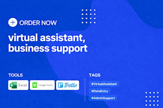 provide expert virtual assistant services for your business