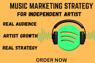 l build a data backed music marketing strategy to grow your streams and fan
