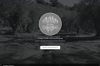 create a modern ecommerce website for your business