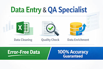 do data entry and data cleaning with perfect accuracy