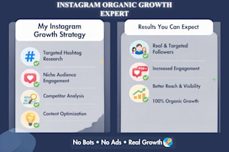 do fast instagram organic growth