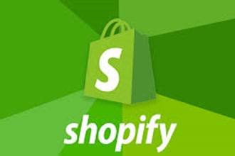 support your shopify store setup
