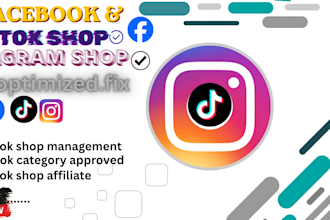setup tiktok store facebook store and shopfy optimizatio