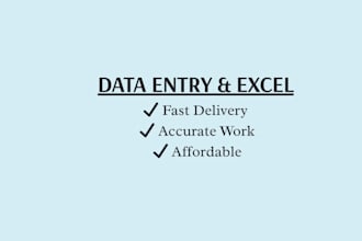 do accurate data entry and excel spreadsheet cleanup