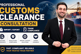 provide professional customs clearance consultation for import and export