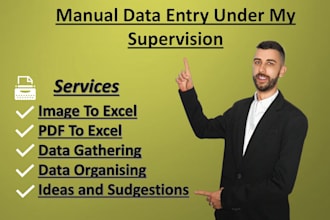do manual data entry from image , PDF , word or web research to excel