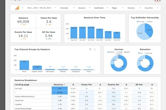 provide professional data analysis and business insights
