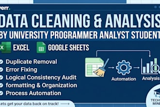 perform expert data cleaning and spreadsheet organization