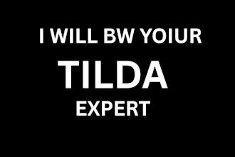 tilda website design, tilda landing page