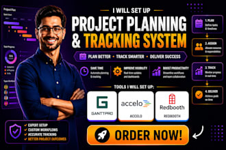 set up project planning and tracking system  ganttpro, accelo redbooth