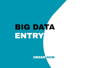 do all big data entry project