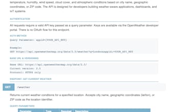 write professional API documentation for developers