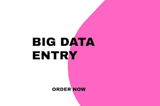 help on big data entry projects