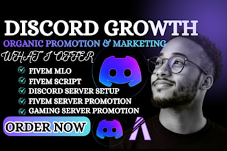 do organic discord growth, fivem server, fivem mlo, crypto server promotion nft