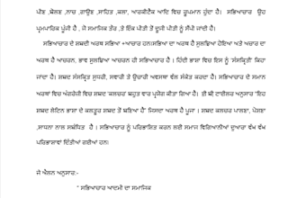 punjabi typing data entry and translation services