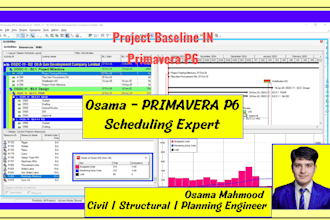 do project management on excel and primavera
