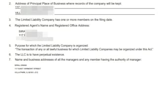 file your USA llc company
