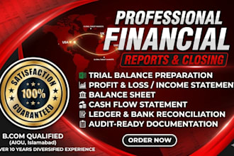 prepare professional financial statements