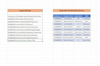 slit data in single excel cell into multiple columns