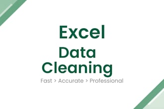 clean, format, and organize excel data professionally