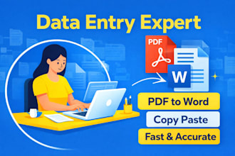do data entry, copy paste and excel work