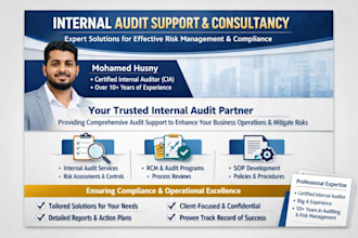 provide internal audit support and controls review
