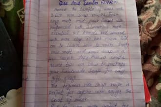 do professional handwriting assignments and notes